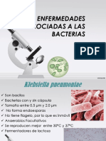 Enfermedades Asociadas A Las Bacterias