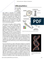 Ácido Desoxirribonucleico