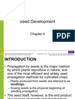 Ch4seeddevelo pp4