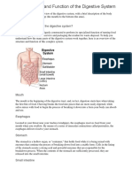 The Structure and Function of The Digestive System