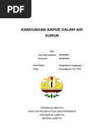 Download Kandungan Kapur Dalam Air Sumur by Fitrio donee Pamungkas SN39754359 doc pdf