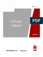 2 LDP Principle Configuration