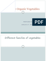 Produce Organic Vegetables