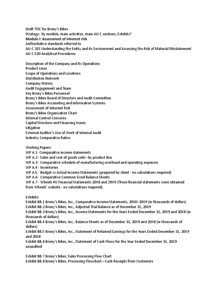 1337619450 598481 docx Going Concern Auditor s Report