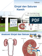 Trauma Ginjal Dan Saluran Kemih: Referat