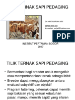 SAPI