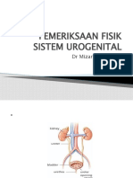 Pemeriksaan Fisik Sistem Urogenital