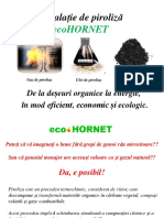 Piroliză Ecohornet PDF