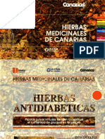 Hierbas Medicinales de Canarias