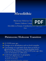 Mesolithic