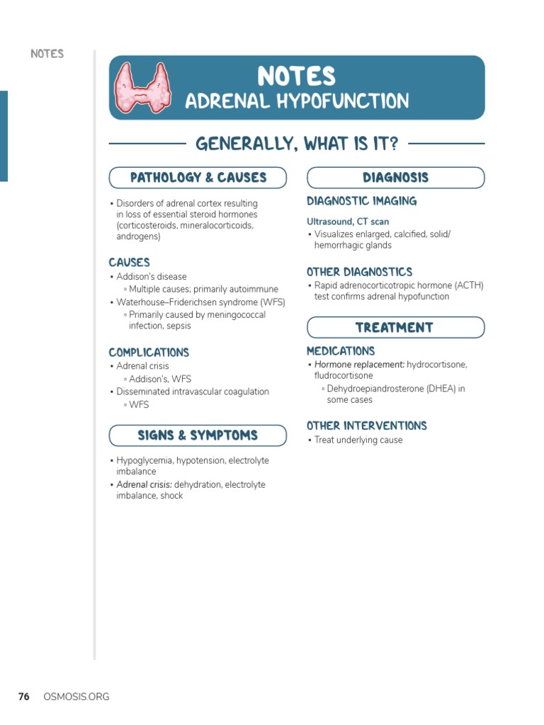Notes Adrenal Hypofunction PDF Adrenal Gland Cortisol