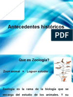 Antecedentes (zoologia)