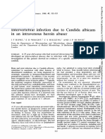 Candida Albicans in Heroin Abusers