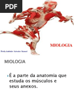 Aula 5 - S.Muscular.ppt