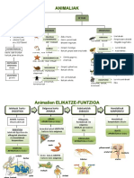 2 ANIMALIAK Elikatze Harreman Funtzioak ANAYA 5 PDF