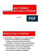 Cursul 3 Bacterii