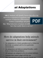 Animal Adaptations 4th Grade Tc