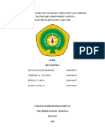 Infectious Pancreatic Necrotic Virus Ipsa