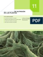 El Proceso de Nutrición en las Plantas.pdf