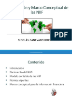 Niif Casos Practicos 1