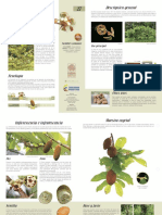 Fichas Tecnicas de Especies de Uso Forestal y Agroforestal de La Amazonia Colombiana - 27 COPOAZU