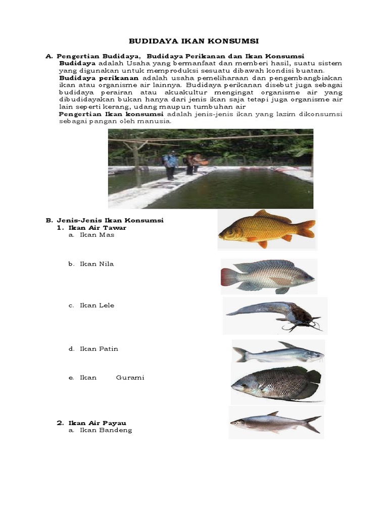 Materi 1 Kd 3 1 Budidaya Ikan Konsumsi 9 2018