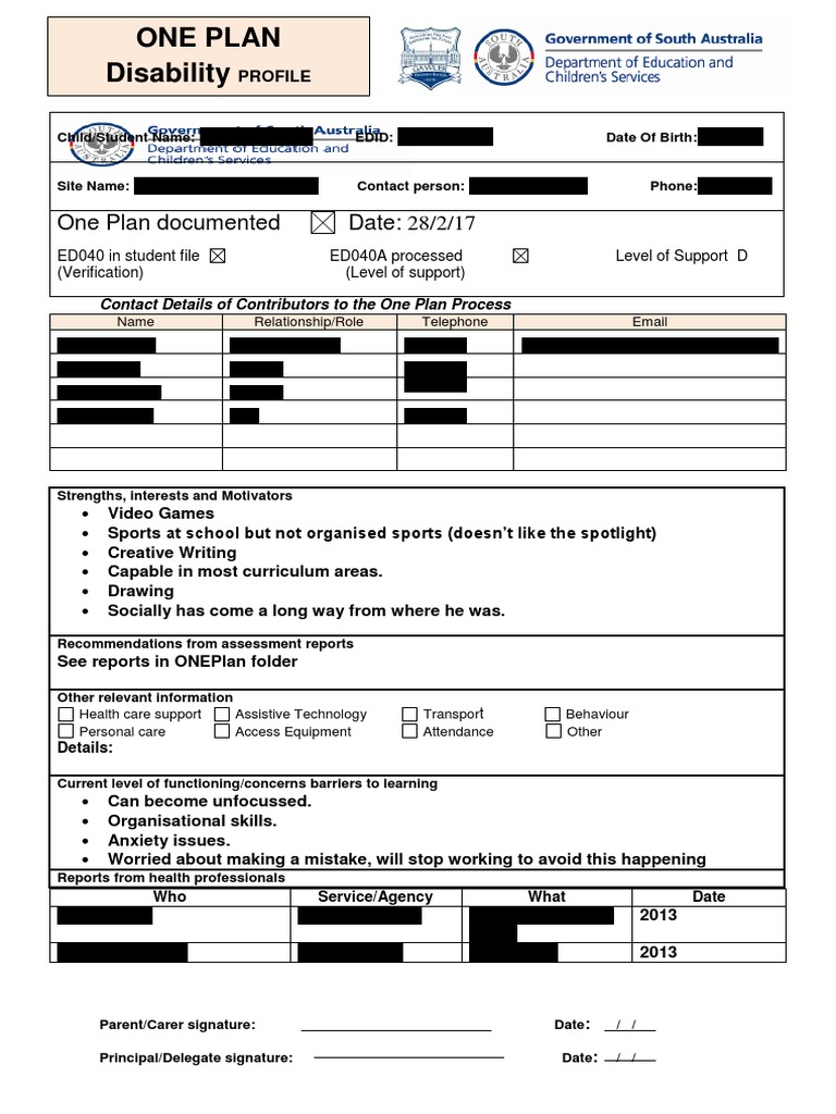 One Plan Example | PDF | Caregiver | Goal