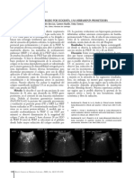 Reclutamiento Ecoguiado PDF