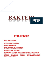 BAKTERI