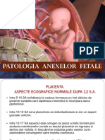 Patologie anexe fetale