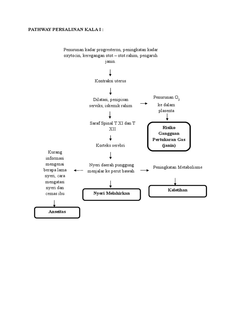 Pathway Persalinan Kala 1-4 | PDF