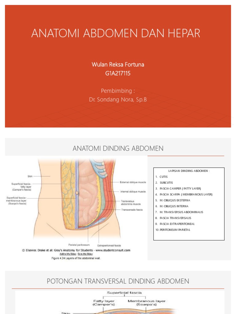 Pedoman Praktik Klinis Smf Urologi Abdomen