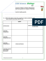 Transport in Plants Ws