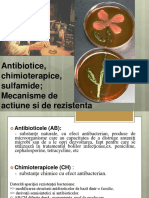 C3 1antibiotice
