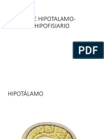 Eje Hipotalamo-Hipofisiario
