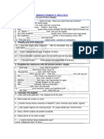 Presentperfect Practice PDF