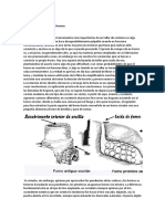 Diseño e Construcción de Hornos