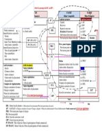 Passage-BC-au-BF.pdf