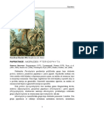 15papratnice I Deo PDF