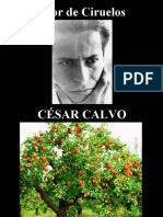 César Calvo - Olor de Ciruelos - poesía