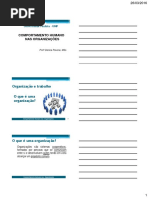 comportamento humano nas organizações