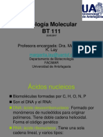 Biologia Molecular_Estructura Ac Nucleicos-24.03.2017