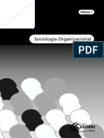 sociologia_organizacao.pdf