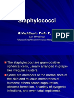 Staphylococci: R.Varidianto Yudo T., DR