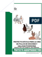 Proyecto Avicola Pollo-Gallinas Luis Viña