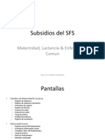 inst_subsidios_sfs.pdf