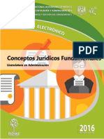 Apunte - Conceptos Juridicos Fundamentales (2016)