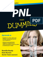 PNL Para Dummies