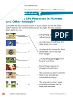 Living Things and Their Life Processes Worksheet