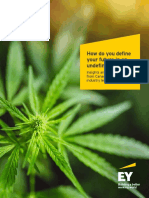 Cannabis Eyc Report
